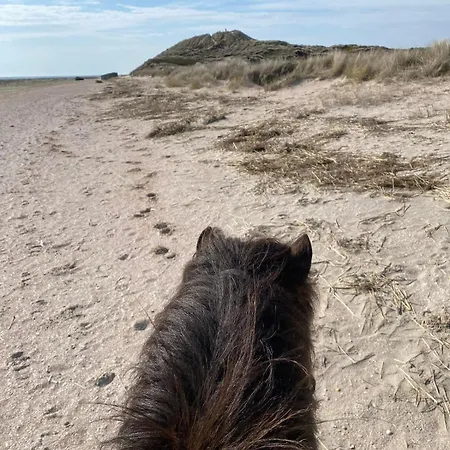 Blockhuette Nordsee Tiere Spielplatz 公寓 Fanø